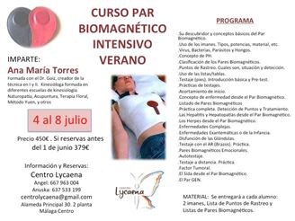 Imagen de CURSO PAR BIOMAGNÉTICO INTENSIVO DE VERANO