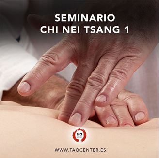 Imagen de SEMINARIO CHI NEI TSANG I