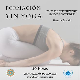 Imagen de 🌻 FORMACIÓN INTERNACIONAL DE YIN YOGA 🌻