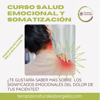 Imagen de  CURSO SALUD EMOCIONAL Y SOMATIZACIÓN