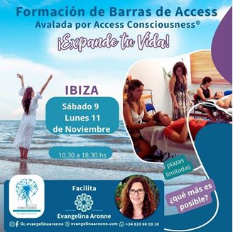 Imagen de Formación de BARRAS de ACCESS en IBIZA