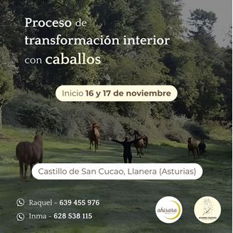 Imagen de PROCESO DE TRANSFORMACIÓN INTERIOR CON CABALLOS