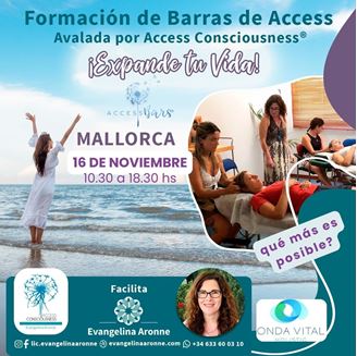 Imagen de Formación de BARRAS de ACCESS en Mallorca