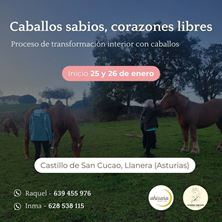 Imagen de PROCESO DE TRANSFORMACIÓN INTERIOR CON CABALLOS