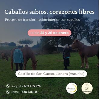 Imagen de PROCESO DE TRANSFORMACIÓN INTERIOR CON CABALLOS