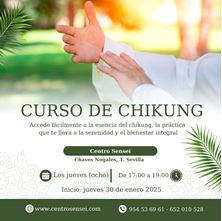 Imagen de CURSO CHIKUNG EN SEVILLA