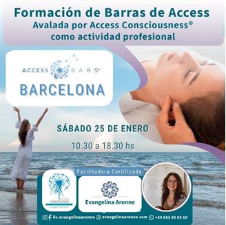 Imagen de Formación de BARRAS de ACCESS en BARCELONA