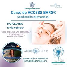 Imagen de Formación de BARRAS de ACCESS en BARCELONA