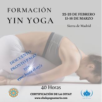 Imagen de 🌻 FORMACIÓN INTERNACIONAL DE YIN YOGA 🌻