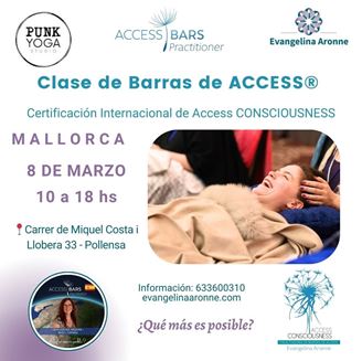 Imagen de Formación de BARRAS de ACCESS en Mallorca